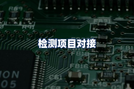 检测项目对接
